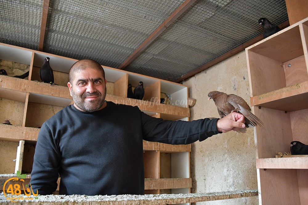 zohdi 3ashoor (56).jpeg